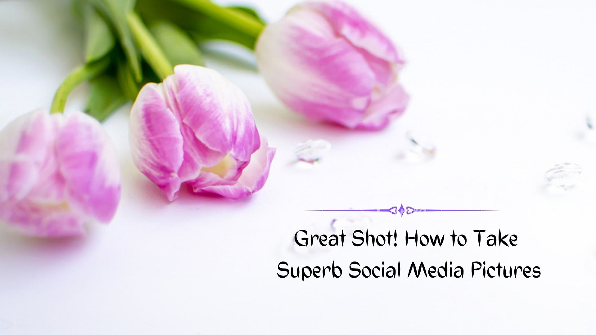 How to Take Superb Social Media Images on Your Own (Hint – You Don’t Need to Be a Pro)