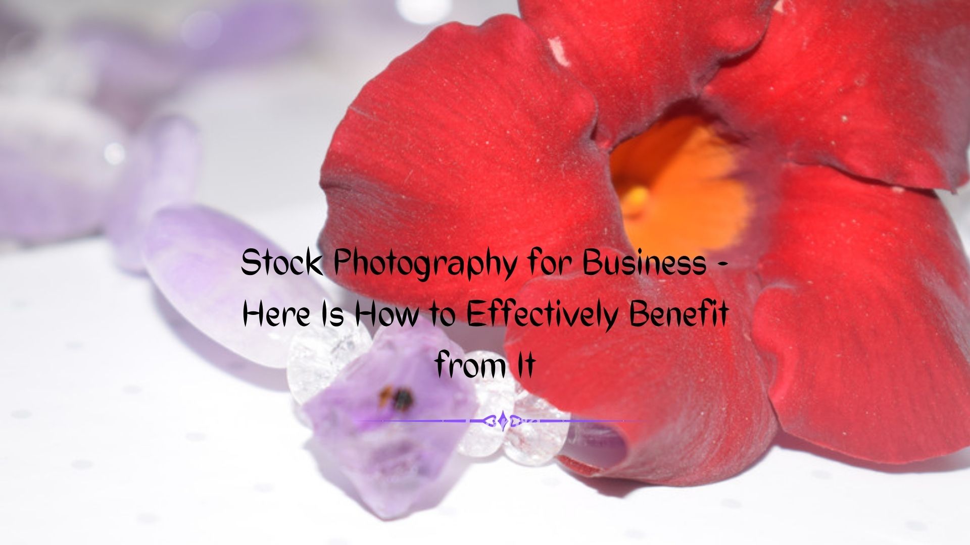 Stock Photography for Business – How to Extract Maximum Benefits from It