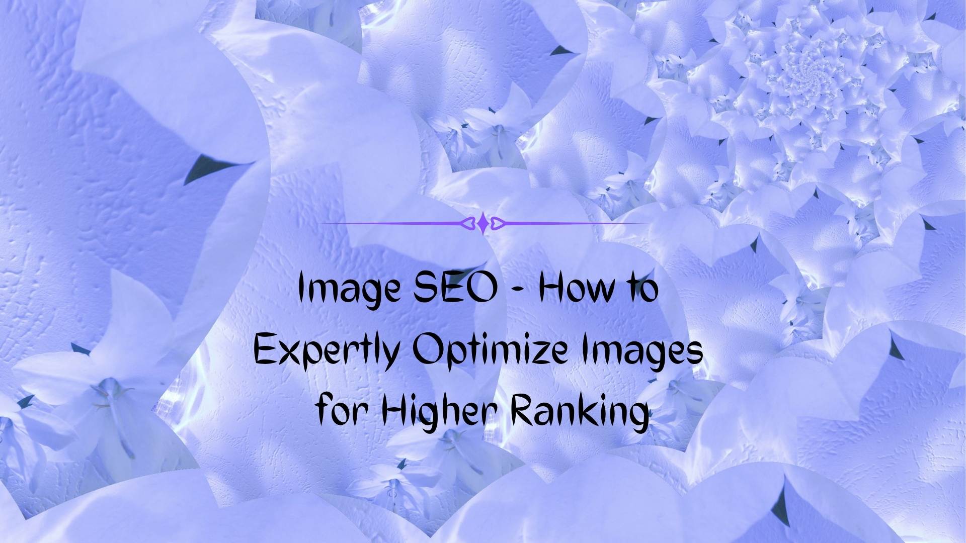 How to Do Image SEO? –  Expertly Optimize Photos for Higher Ranking