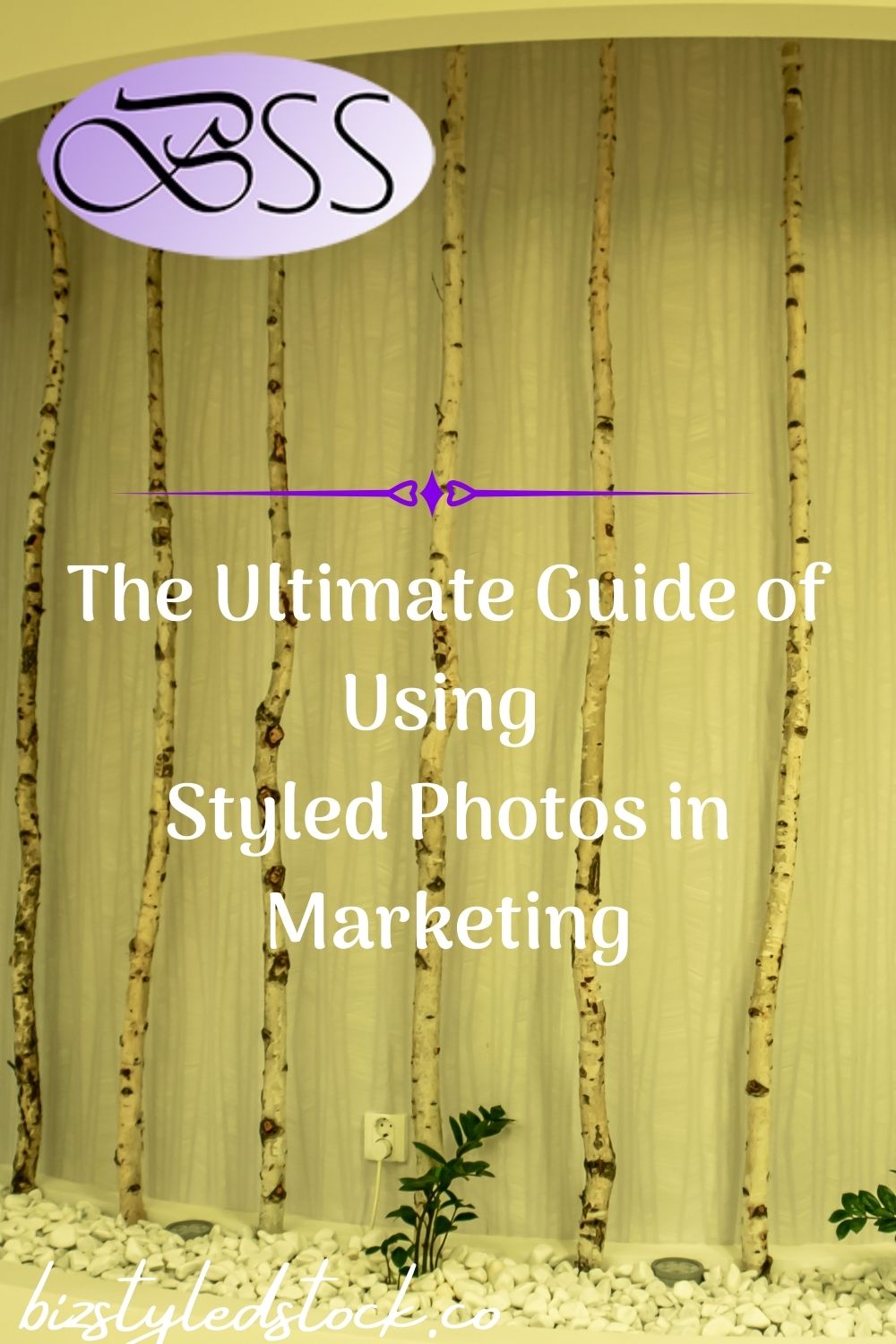 The Ultimate Guide of Using Business Stock Images in Marketing #styledstock images #businessstockimages