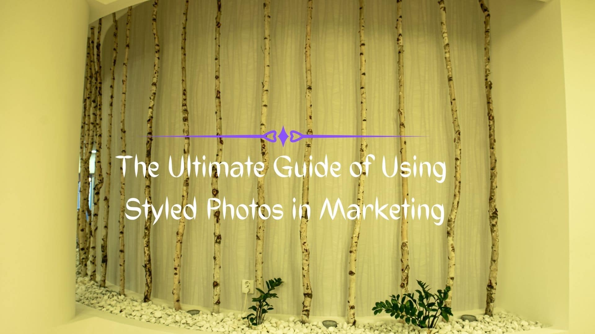 How to Use Business Styled Stock Photos to Uplevel Your Marketing Game