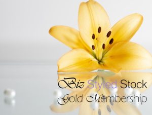 Side bar Gold Stock photos membership-min