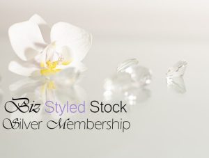 Side bar Silver Stock photos membership-min